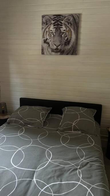 Magnifique Appartement T2 Le Barcares Luaran gambar